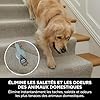 Shark StainStriker Nettoyeur tâches 5 accessoires, pour animaux, suceur plat et tuyaux, 2 formules de nettoyage CarpetXpert (946 ml) & StainStriker (474 ml) pour enlever les taches, Gris, PX200EUCP