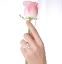 61K6R1IJdYL._AC_SX569_.webp