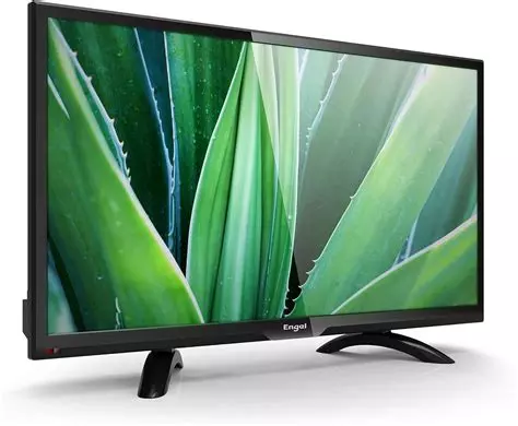 [TVETEL] TV Engel Ever-LED LE2050 20 