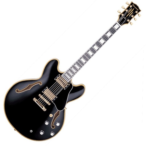 [MUSEDW] EDWARDS - guitare Electrique E-SA180LTC-BK - 335 NOIR BRILLANT